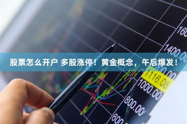 股票怎么开户 多股涨停！黄金概念，午后爆发！