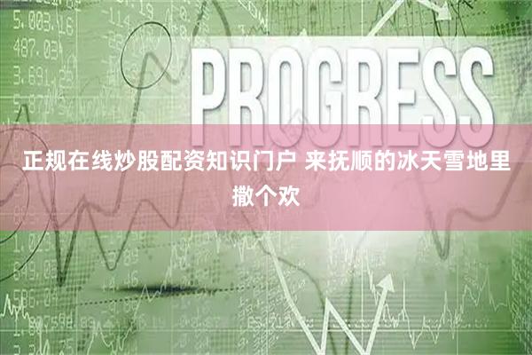 正规在线炒股配资知识门户 来抚顺的冰天雪地里撒个欢