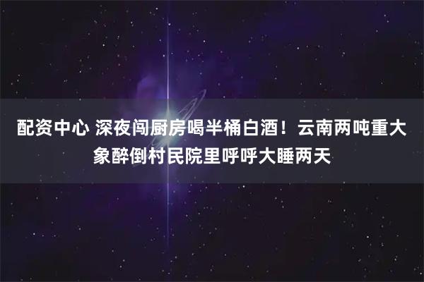配资中心 深夜闯厨房喝半桶白酒！云南两吨重大象醉倒村民院里呼呼大睡两天
