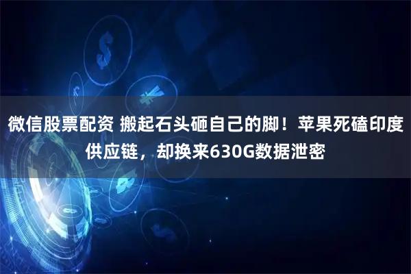 微信股票配资 搬起石头砸自己的脚！苹果死磕印度供应链，却换来630G数据泄密